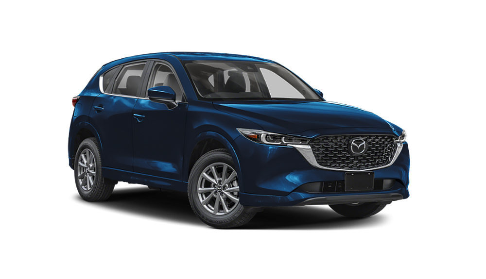 Daily vs. Monthly Car Rentals in Dubai: Key Factors to Consider